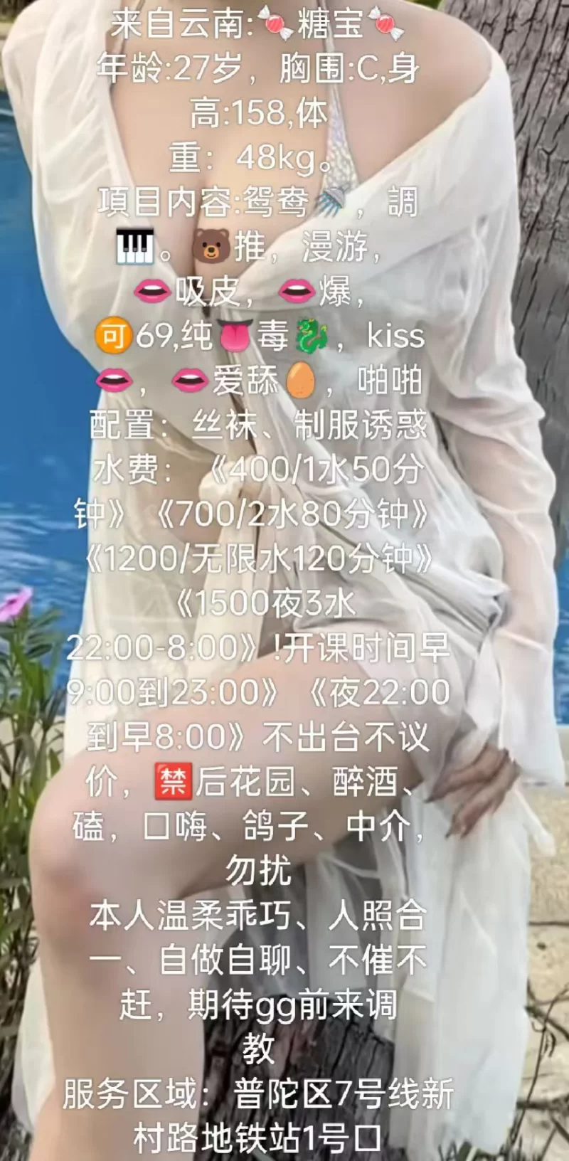 云南糖宝 4/7 C杯
