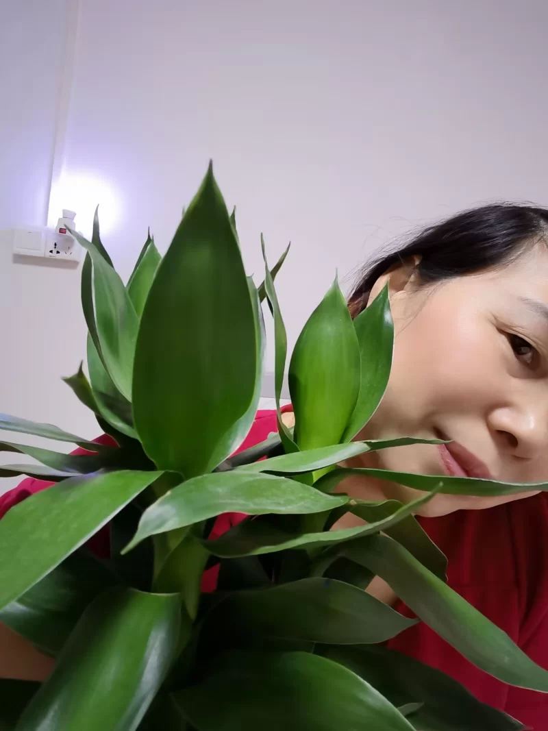东莞可无帽熟女